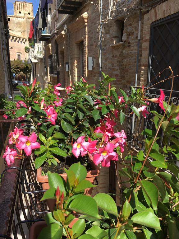 Guest House Dimora Fiorita Serracapriola Εξωτερικό φωτογραφία